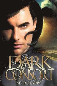 bokomslag Dark Consort