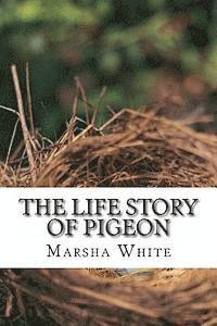 bokomslag The Life Story of Pigeon: Moving from trees to windows, a side-effect of deforestation