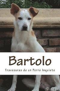 bokomslag Bartolo
