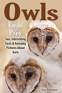 bokomslag Owls: Birds Of Prey