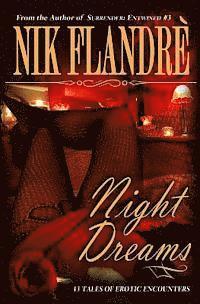 bokomslag Night Dreams: 13 Tales of Erotic Encounters