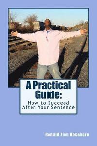 bokomslag A Practical Guide: : How to Succeed After Your Sentence