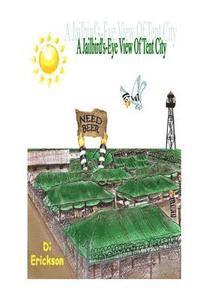 Di Erickson - A Jailbird's-Eye View of Tent City, Häftad