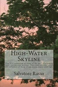 bokomslag High-Water Skyline: This is a collection of some of the most disturbing short stories ever written. They are over analytical, bloody, perv