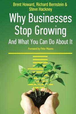 bokomslag Why Businesses Stop Growing: & What You can Do About It