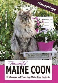 Traumkatze Maine Coon - Erfahrungen und Tipps einer Maine Coon Besitzerin 1