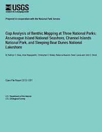 bokomslag Gap Analysis of Benthic Mapping at Three National Parks: Assateague Island National Seashore, Channel Islands National Park, and Sleeping Bear Dunes N
