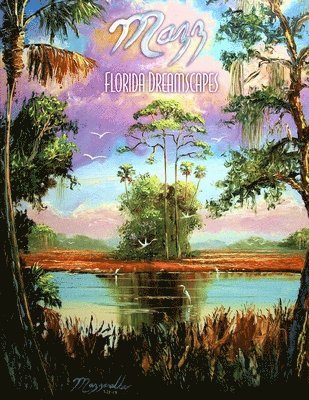 bokomslag Mazz: Florida Dreamscapes