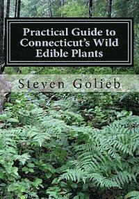 bokomslag Practical Guide to Connecticut's Wild Edible Plants: A Survival Guide
