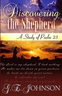 bokomslag Discovering The Shepherd: A Study of Psalm 23