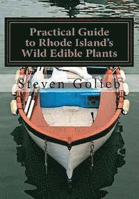 bokomslag Practical Guide to Rhode Island's Wild Edible Plants: A Survival Guide