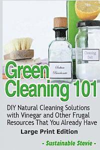 Sustainable Stevie - Green Cleaning 101 (Large Print Edition), Häftad