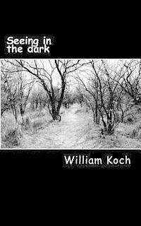 Seeing in the dark: The secrets to personal power, spiritual success and eternal victory 1