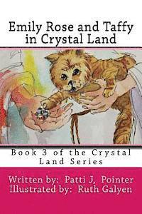 bokomslag Emily Rose and Taffy in Crystal Land: Book 3 of the Crystal Land Series