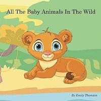 All The Baby Animals In The Wild 1