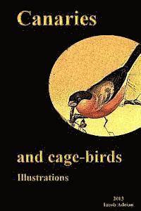 bokomslag Canaries and cage-birds Illustrations