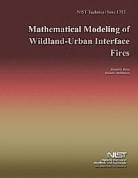 bokomslag Mathematical Modeling of Wildland-Urban Interface Fires
