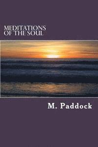 bokomslag Meditations of the Soul