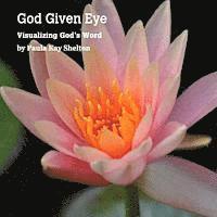 bokomslag God Given Eye: Visualizing God's Word