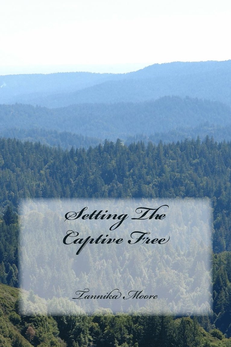 Setting The Captive Free 1