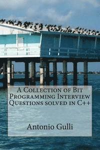 bokomslag A Collection of Bit Programming Interview Questions solved in C++