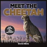 bokomslag Meet The Cheetah: Fun Facts & Cool Pictures