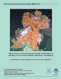 bokomslag Observations of Deep Coral and Sponge Assemblages in Olympic Coast National Marine Sanctuary, Washington