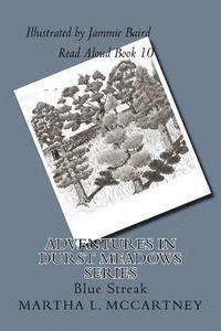 Martha L. McCartney - Adventures In Durst Meadows: Blue Streak, Häftad