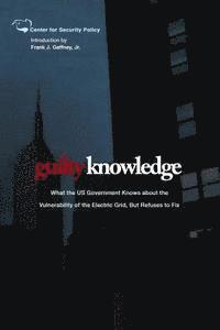 bokomslag Guilty Knowledge: What the US Government Knows about the Vulnerability of the Electric Grid, But Refuses to Fix