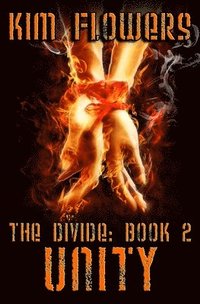 bokomslag Divide Book 2