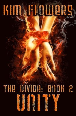 bokomslag Divide Book 2
