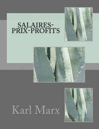 bokomslag Salaires-Prix-Profits