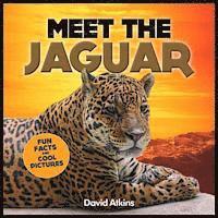 bokomslag Meet The Jaguar: Fun Facts & Cool Pictures