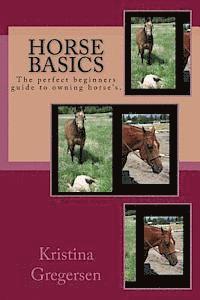 bokomslag Horse Basics