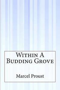 bokomslag Within A Budding Grove