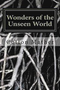 bokomslag Wonders of the Unseen World