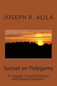 bokomslag Sunset on Polygamy