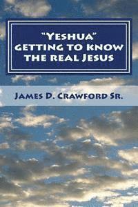 bokomslag Yeshua: Getting to know the real Jesus