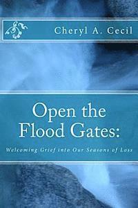 bokomslag Open the Flood Gates: : Welcoming Grief into our Seasons of Loss
