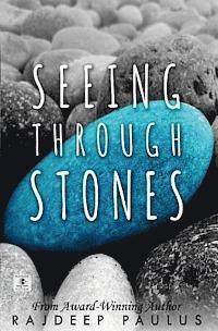 bokomslag Seeing Through Stones: Young Adult Contemporary Fiction