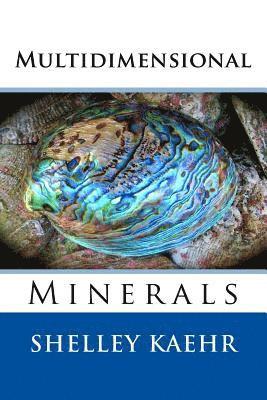 bokomslag Multidimensional Minerals