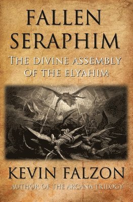bokomslag Fallen Seraphim