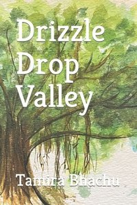 bokomslag Drizzle Drop Valley