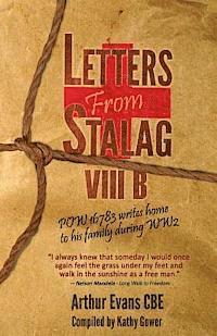 bokomslag Letters from Stalag VIIIB