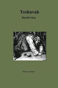 bokomslag Teshuvah: David's Key