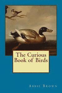 bokomslag Curious Book of Birds