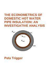 bokomslag The Econometrics of Domestic Hot Water Pipe Insulation