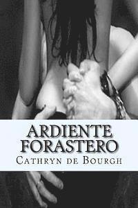 Ardiente Forastero: Romance erótico contemporáneo 1