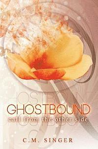 bokomslag Ghostbound 2 - US-Edition: Call from the Other Side