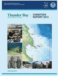 bokomslag Thunder Bay National Marine Sanctuary: Condition Report 2013